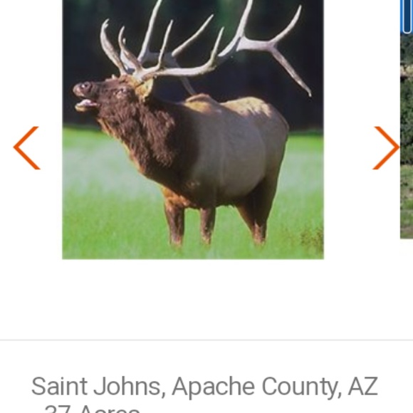 Meet your Posher, Dustin - Picture 1 of 1